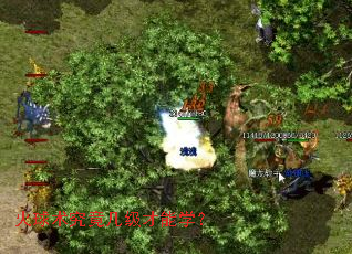 ������������������ѧ��