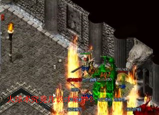 ������������������ѧ��