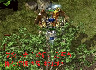 微变传奇启动后,龙至尊将获得哪些属性加成? 微变传奇启动后,龙至尊将获得哪些属性加成?