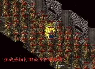 圣战戒指打哪些怪物爆率高? 圣战戒指打哪些怪物爆率高?