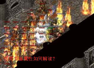 ����װ��������ν����