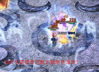 ��ο���������Ĭ֮�۽�ɫ�ȼ���