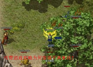 传奇游戏攻略为何变得不再单纯? 传奇游戏攻略为何变得不再单纯?