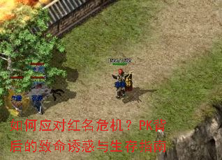 ���Ӧ�Ժ���Σ����PK����������ջ�������ָ��