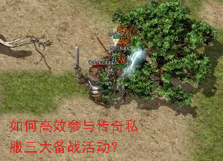 ��θ�Ч���봫��˽������ս���