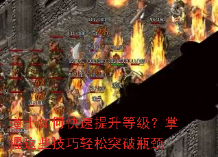 ��ʿ��ο��������ȼ���������Щ��������ͻ��ƿ��