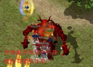 �����¿���վ�������ָ����Щ���ã�