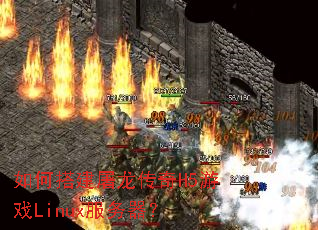 ��δ��������H5��ϷLinux��������