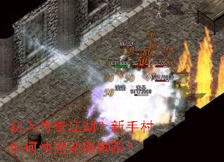 ���봫�潭�������ִ���ο���վ�ȽŸ���