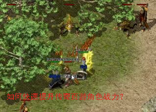 ��ο�����������ҳ�ν�ɫս����