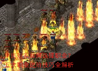 ƽ��������ѡ��ְҵ�����ְҵ���׼���ȫ����