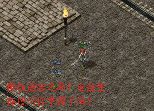 ��ս����֮������Щ���漼������������