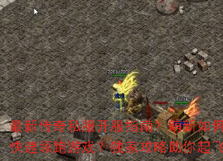 ���´���˽������ָ�ϣ�������ο���������Ϸ�����ҹ����������