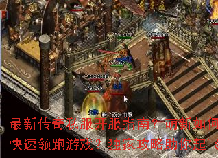 ���´���˽������ָ�ϣ�������ο���������Ϸ�����ҹ����������