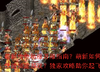 ���´���˽������ָ�ϣ�������ο���������Ϸ�����ҹ����������