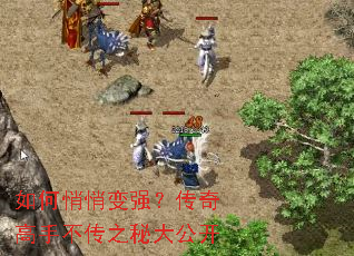 ������ı�ǿ��������ֲ���֮�ش󹫿�