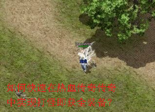 ��ο�������Ѫ���洫����ʵ�ִ�ּ���ȫװ����