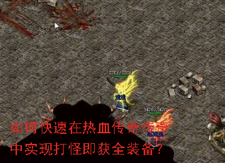 ��ο�������Ѫ���洫����ʵ�ִ�ּ���ȫװ����