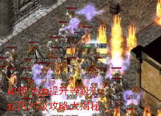 ��ο��������ȼ��������弶���Դ����