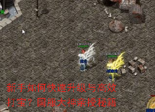 ������ο����������Ч�򱦣��������������ؼ�