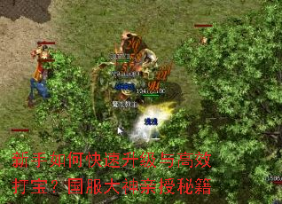 ������ο����������Ч�򱦣��������������ؼ�