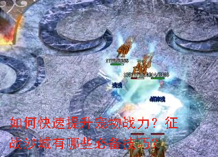 如何快速提升宠物战力?征战沙城有哪些必备技巧? 如何快速提升宠物战力?征战沙城有哪些必备技巧?