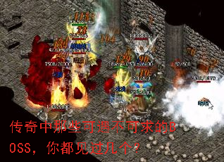 ��������Щ�����������BOSS���㶼����������