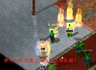 ������ο���������Ѫ����˽����