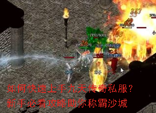 ��ο������־��촫��˽�������ֱؿ���������ư�ɳ��