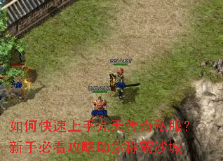 ��ο������־��촫��˽�������ֱؿ���������ư�ɳ��