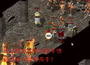 道士职业如何从新手快速成长为传奇高手? 道士职业如何从新手快速成长为传奇高手?