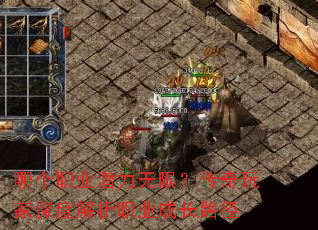 哪个职业潜力无限?传奇玩家深度解析职业成长路径 哪个职业潜力无限?传奇玩家深度解析职业成长路径