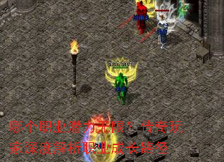 哪个职业潜力无限?传奇玩家深度解析职业成长路径 哪个职业潜力无限?传奇玩家深度解析职业成长路径