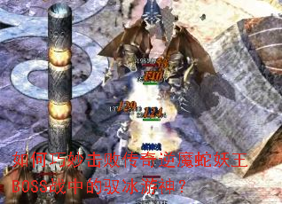 如何巧妙击败传奇逆魔蛇妖王BOSS战中的驭冰游神? 如何巧妙击败传奇逆魔蛇妖王BOSS战中的驭冰游神?
