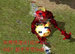 ��ο��ٴ�1������10�������ֿ���ָ��