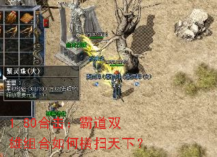 1.80合击:霸道双雄组合如何横扫天下? 1.80合击:霸道双雄组合如何横扫天下?