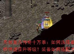 ���⸴�Ŵ���ʮ�򼾣����ѡ�����ְҵ���������������ȼ���װ����δ�������޵У�