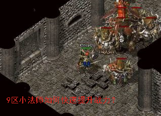 9��С��ʦ��ο�������ս����