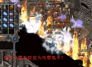 如何从菜鸟蜕变为传奇高手? 如何从菜鸟蜕变为传奇高手?