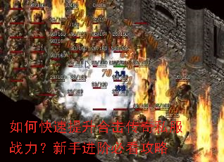 ��ο��������ϻ�����˽��ս�������ֽ��ױؿ�����