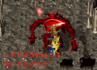 ��ο�������ս���ư����⸴�Ŵ��棿