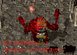 ɢ����γư�5woool����˽������ݹ������պ�