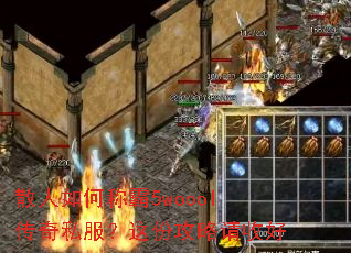 ɢ����γư�5woool����˽������ݹ������պ�