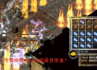 ���������ָ�����������