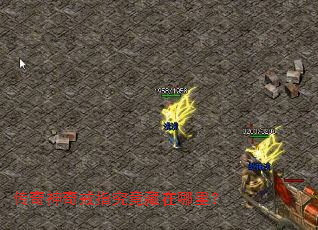 ���������ָ�����������