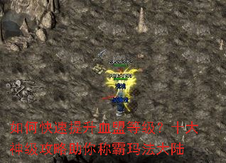 ��ο�������Ѫ�˵ȼ���ʮ���񼶹�������ư��귨��½