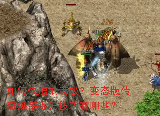 ��ο���ˢ��������̬�洫�汬��������������Щ��