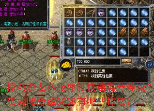 惊鸿游龙私服如何快速提升等级?玛法大陆隐藏BOSS有哪些打法? 惊鸿游龙私服如何快速提升等级?玛法大陆隐藏BOSS有哪些打法?