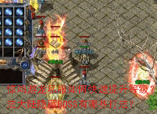 惊鸿游龙私服如何快速提升等级?玛法大陆隐藏BOSS有哪些打法? 惊鸿游龙私服如何快速提升等级?玛法大陆隐藏BOSS有哪些打法?