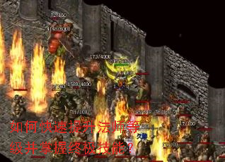 ��ο���������ʦ�ȼ��������ռ����ܣ�